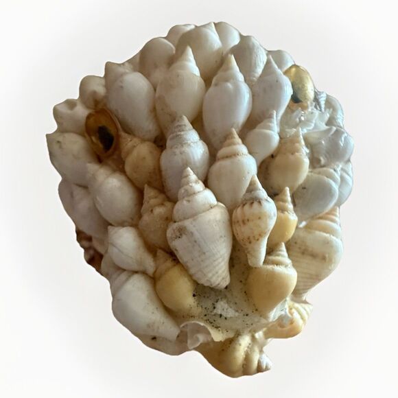 Vintage Hand Crafted  Alligator Figurine Made Of SEASHELLS - Picture 7 of 12